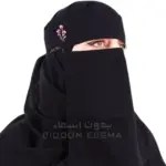 1 Pc Chiffon Embroidered Niqab