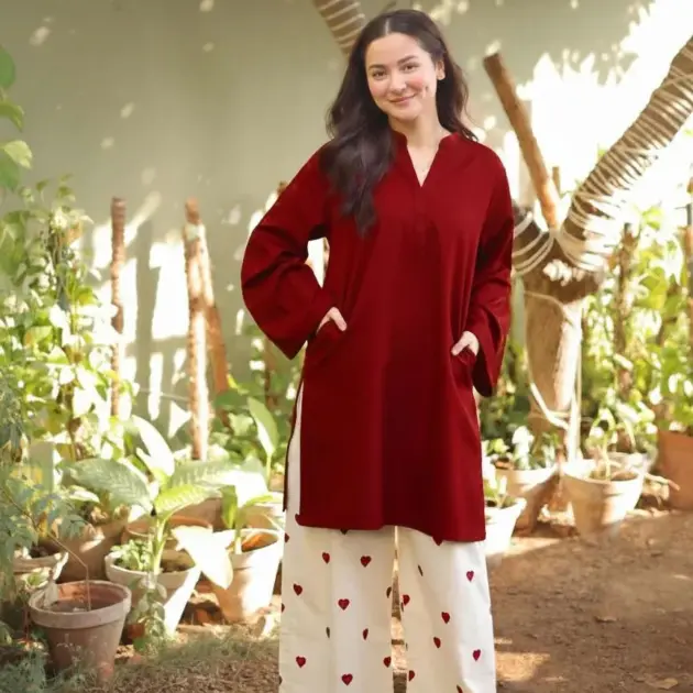 2 Pcs Women's Stitched Cotton Embroidered Shirt And Trouser