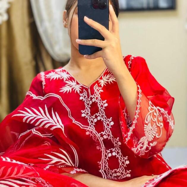 3 Pcs Women's Stitched Fancy Organza Embroidered Suit