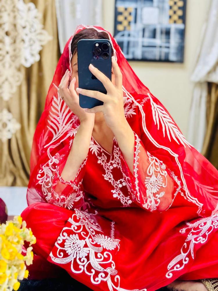 3 Pcs Women's Stitched Fancy Organza Embroidered Suit - Image 3