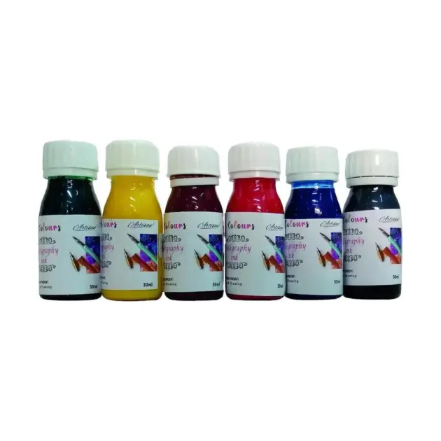 6pcs set of Professional Calligraphy ink